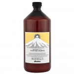 Davines Purifying Shampoo 去屑洗髮露 1000ml